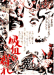 `V̉摜